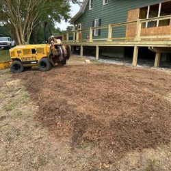 Stump Grinding 