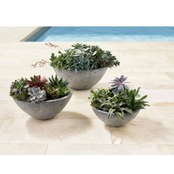Member’s Mark Tabletop Planter Set Of 3