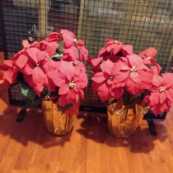 2 Pointsettia Planters 21- Inch $20 . Must Pick Up In Oak Cliff