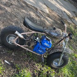 Torrington Street {5204}