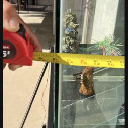 Fish tank with stand and lots of extras