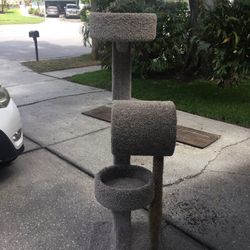 Cat Tower 