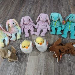 Ty Beanie Babies 