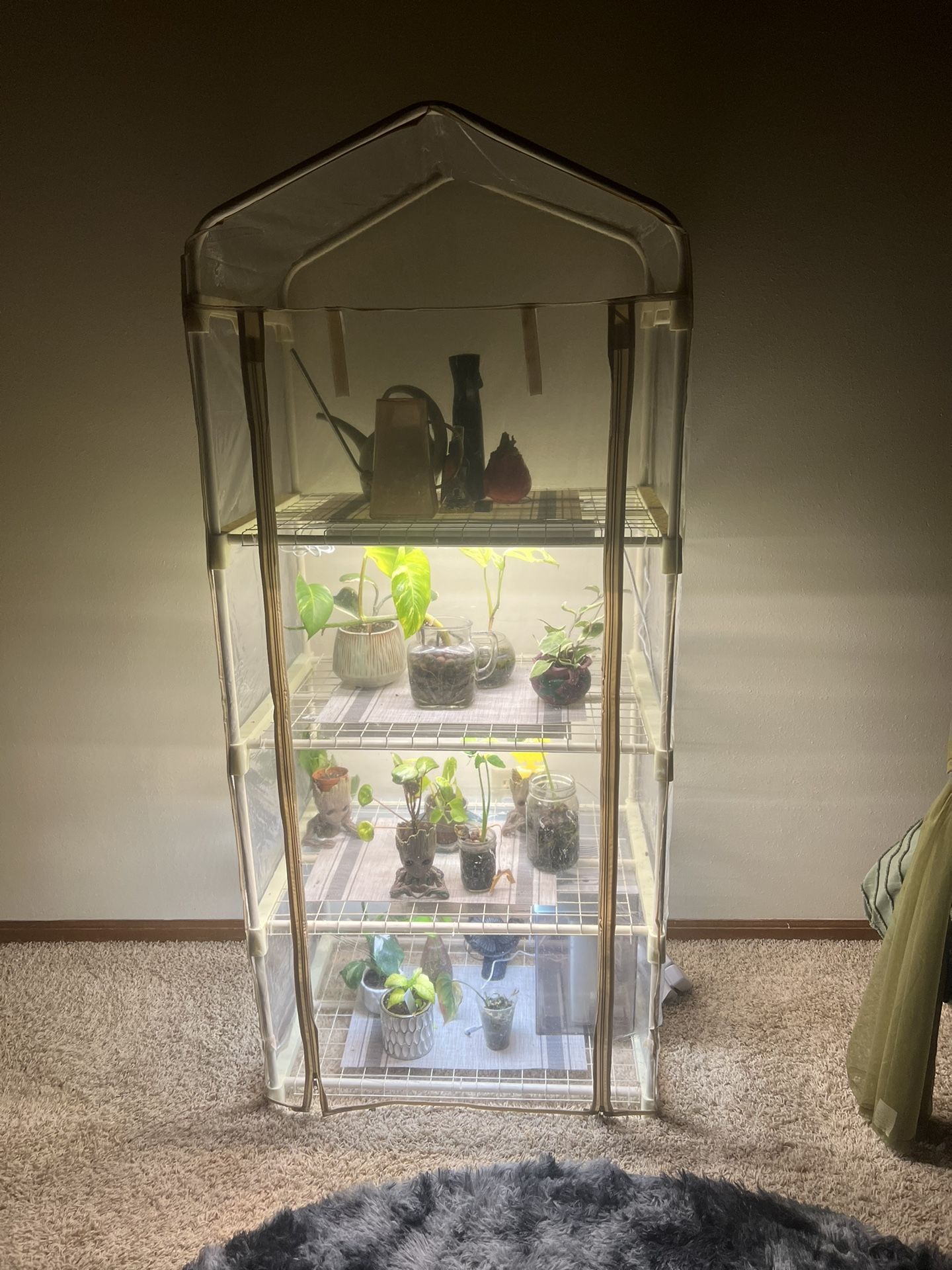 Mini Indoor Greenhouse With Grow Lights 