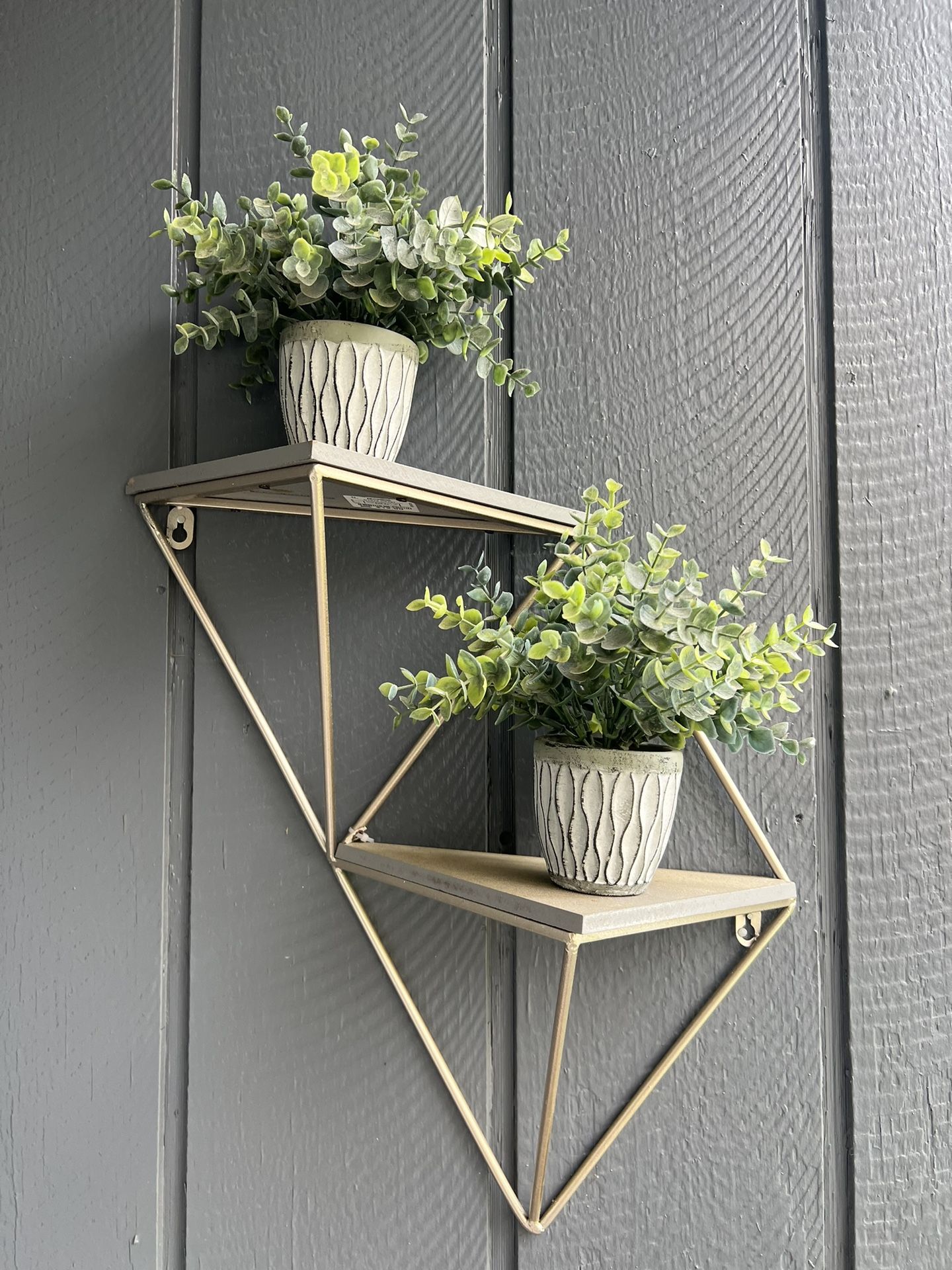 Wall Decor Ans Small Plants