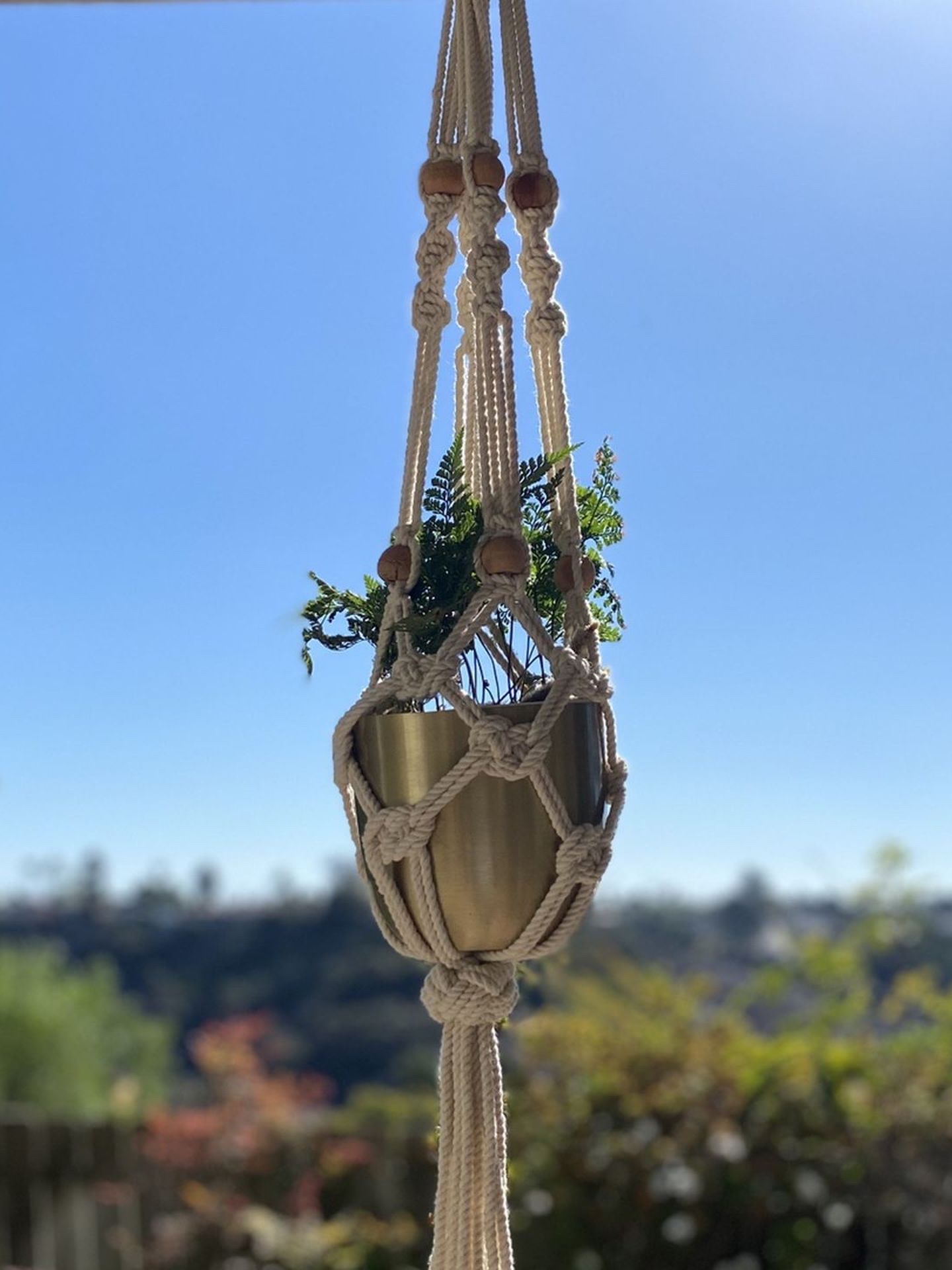 Hanging Plant Holder With Pot and A Ring Hook