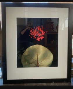 Beautiful  Aluminum frame art .
