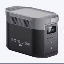 Ecoflow 1600 Watt Power Station