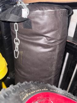 Everlast punching bag