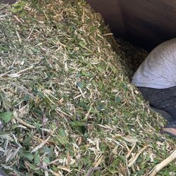 Wood Chips