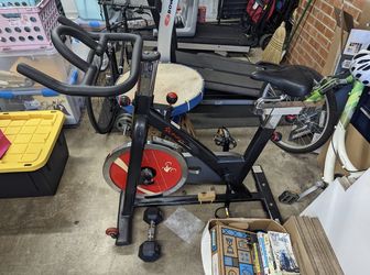 Sunny Fitness Bike