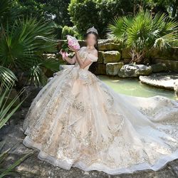 Quinceañera vestido/dress