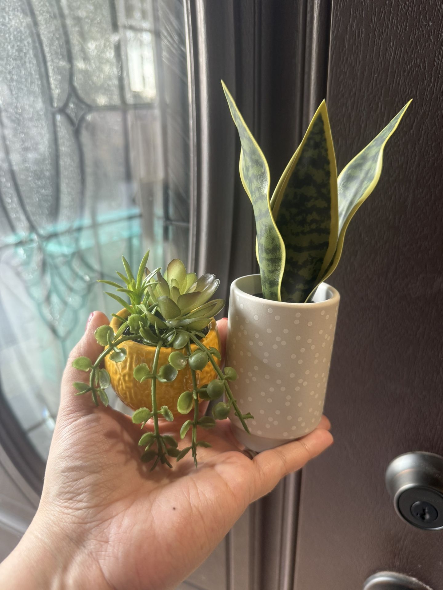 Artificial Small Succulent Plants