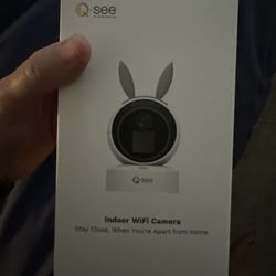 New In Home Security Camera