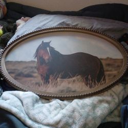 Home Decor Horse Picture