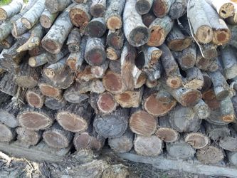 Mesquite,Oak and Pecan