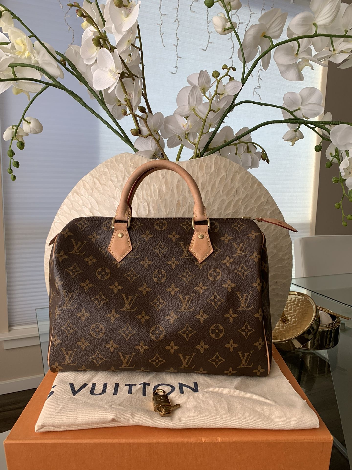 Authentic Louis Vuitton Speedy 30 for Sale in Kent, WA - OfferUp