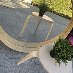 Mirror , Coffee Table , Plant 