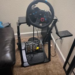 Logitech Driver Wheel (with Pedals And Clutch)
