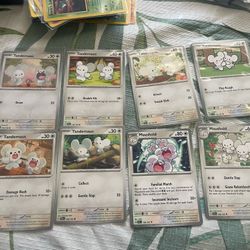 tandemaus/maushold lot