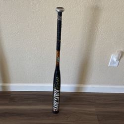Softball Bat