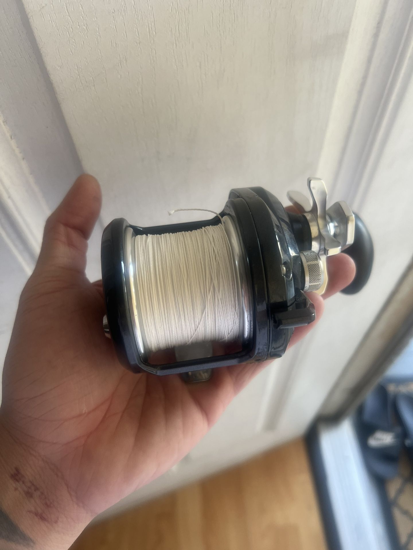 Shimano Torium Fishing Reel