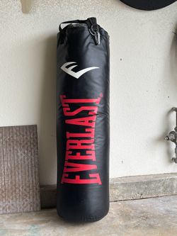Everlast MMA/Boxing heavy bag