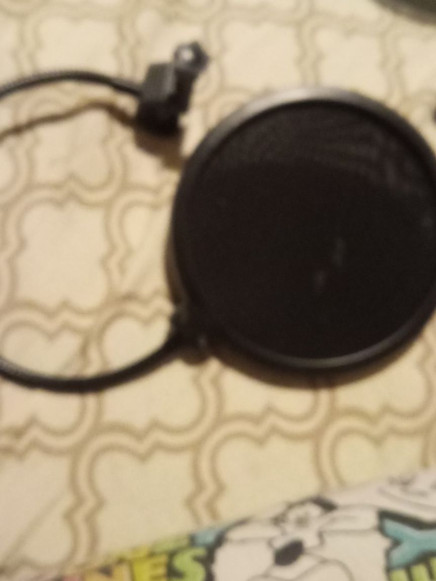 Mic