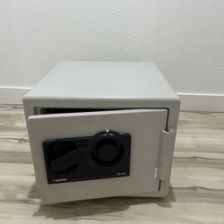 Sentry S0100 Safe