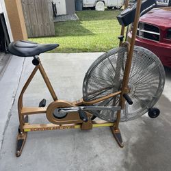 Schwinn Airdyne Exercise Bike