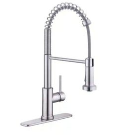 Glacier Bay Paulina Single-Handle Spring Neck Pull Down Sprayer Kitchen Faucet in Stainless Steel