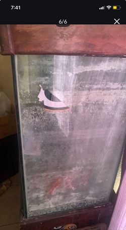 Fish tank