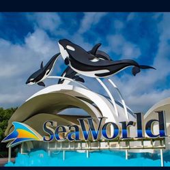 Sea World  Passes 🐟 🌊 🐠 