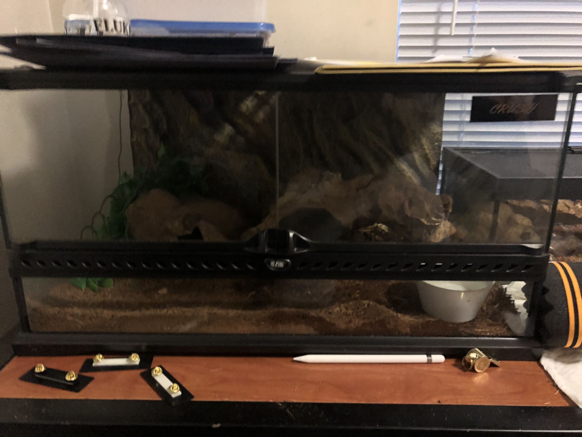 Two 20 gallon snake tanks with heating pads for Sale in Norfolk, VA