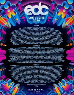 3 Day EDC 2026 Wristband