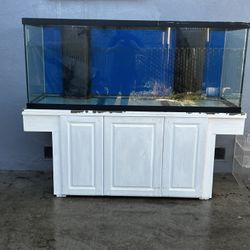 210 Gallon Aquarium