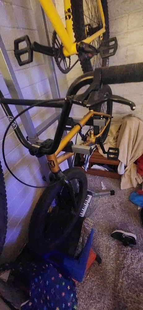 Kink Curb BMX Bike 20" Matte Gold Leaf -Mission X7