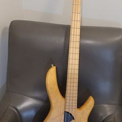 Bass Guitar Optical Pickups