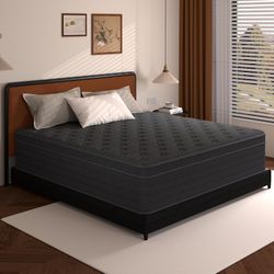 ✨BRAND NEW✨ 12 Inch Queen Size Mattress