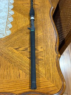 Dobyns  fury, swim bait rod