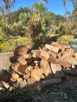 Free eucalyptus wood