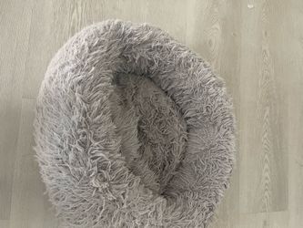 Used but sanitized pet bed