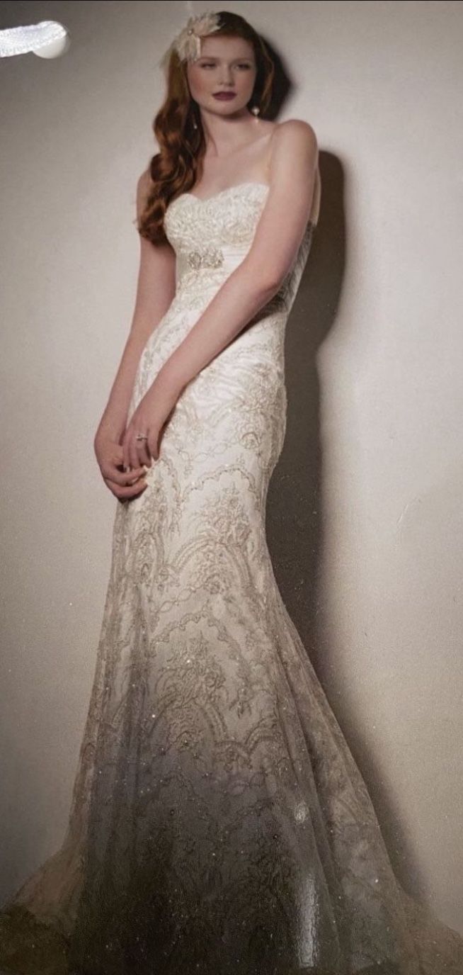 400$ 2 Wedding Dresses, Veil, Clutch And Shoes