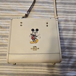 Coach disney winter bag