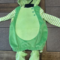 Turtle Halloween Costume