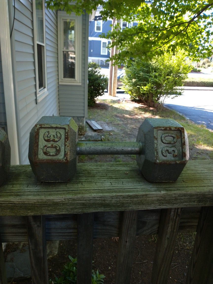2 30lb Solid Dumbbells/Free Weight