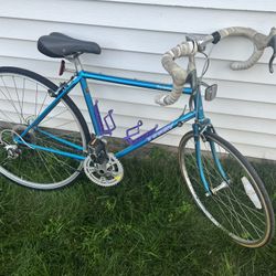 vintage Georgena Terry Symmetry womens road bike