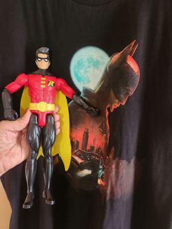 Batman and Robin Collaboration