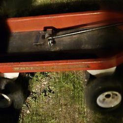 50 Radio flyer wagon.