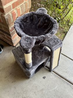 My Cat House  Doesn’t Like It 